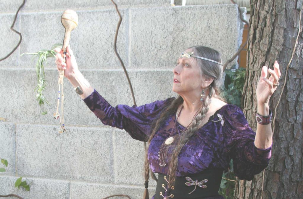 Nancy Adams, Shamanic Healing Sessions